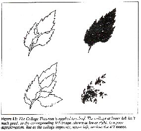 Leaf collage from Byte article