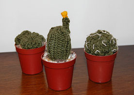 Knit cacti