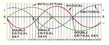 Biorhythm curves